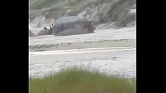 2 casais fazendo sexo em praia de nudismo SC comedor ativo1 Thumb