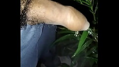 Me meo al aire libre en la noche Thumb