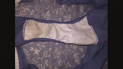 A Collection Of My Wife&#039_s Dirty Panties Thumb