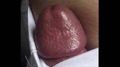 S&oacute_ a Cabe&ccedil_a da Piroca Thumb